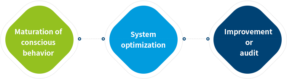 Maturation of conscious behavior,System optimization,Improvement or audit