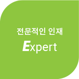 전문적인 인재,Expert